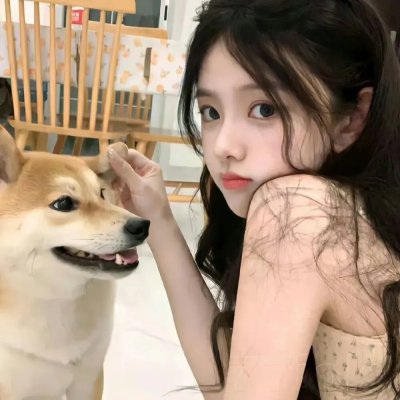 哈莉·奎茵第四季