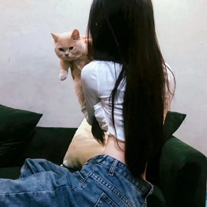 肥瑞的疯狂日记第一季