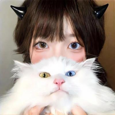 鲨海47:猛鲨出笼